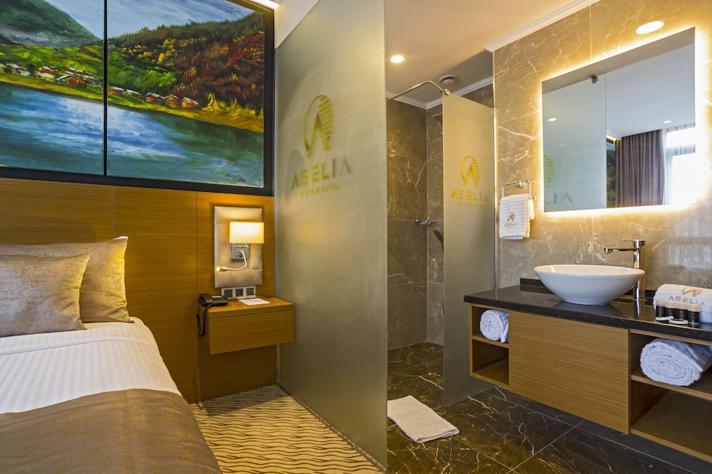 Aselia Hotel Trabzon 37/38