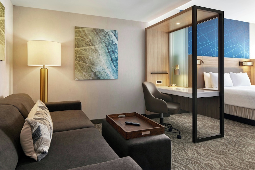 SpringHill Suites Frederica 13/31