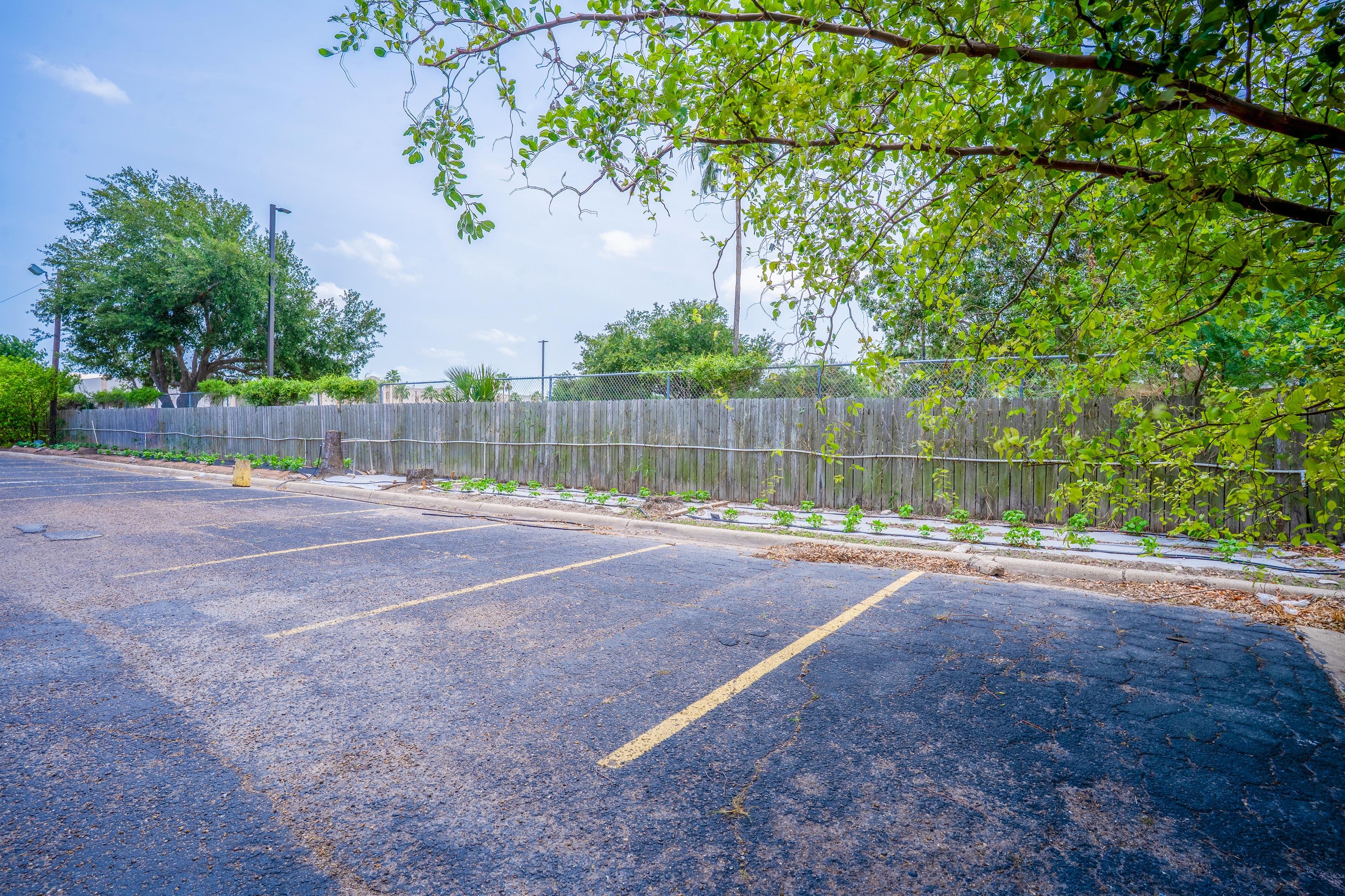 Lone Star Inn & Suites Harlingen TX 33/60