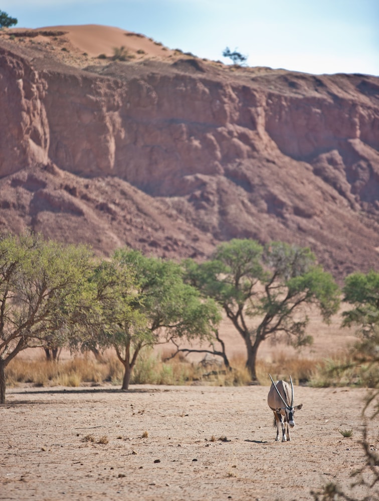 Namib Desert Lodge 28/69