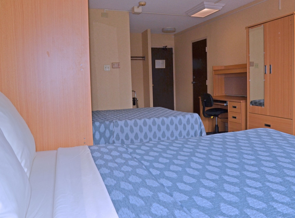 Chestnut Residence - Campus Accommodation 10/38