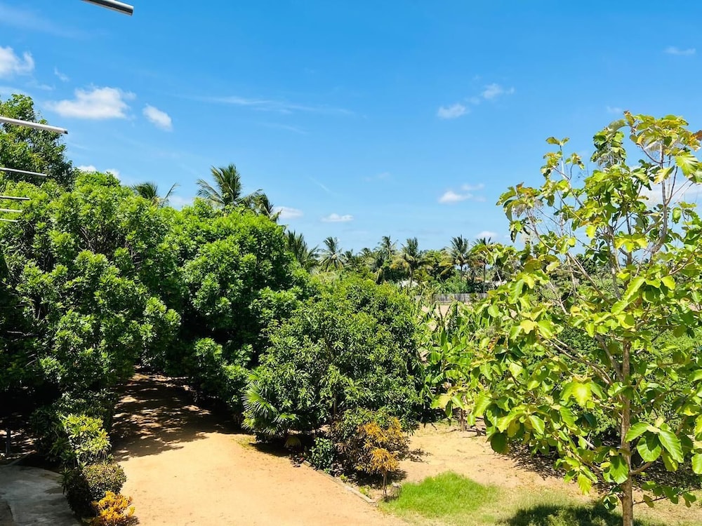 Sea Zone Hotel Nilaveli 36/49