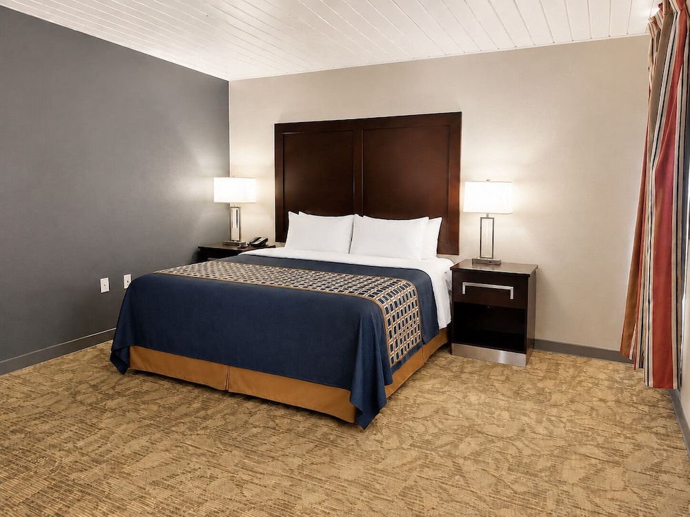 Alamo Inn Suites 28/61