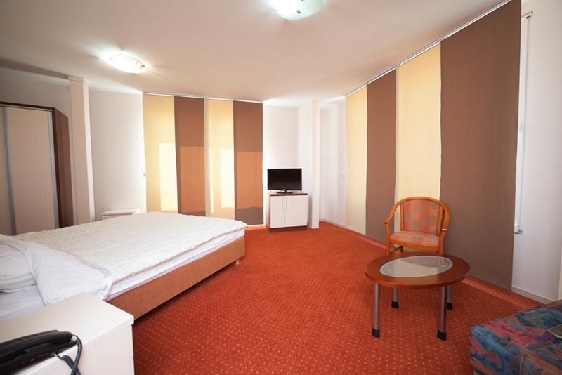 Lebed Hotel 12/31