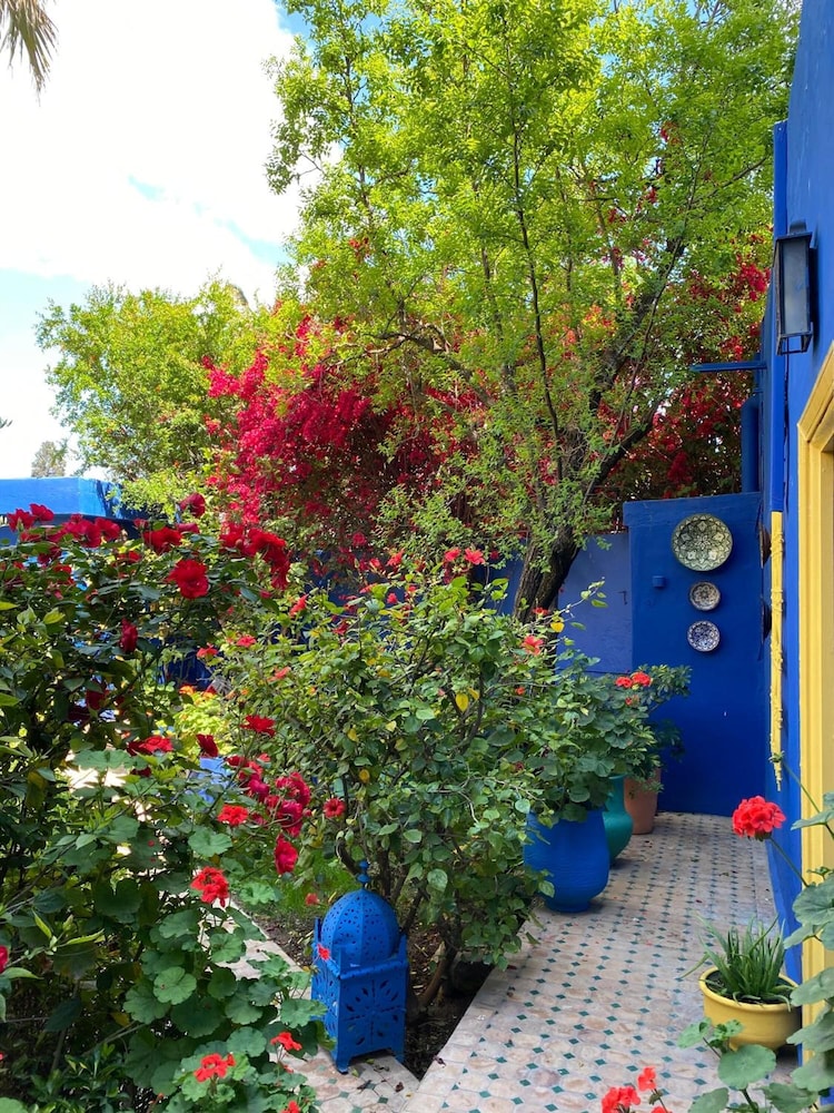 Riad Jean Claude 29/48