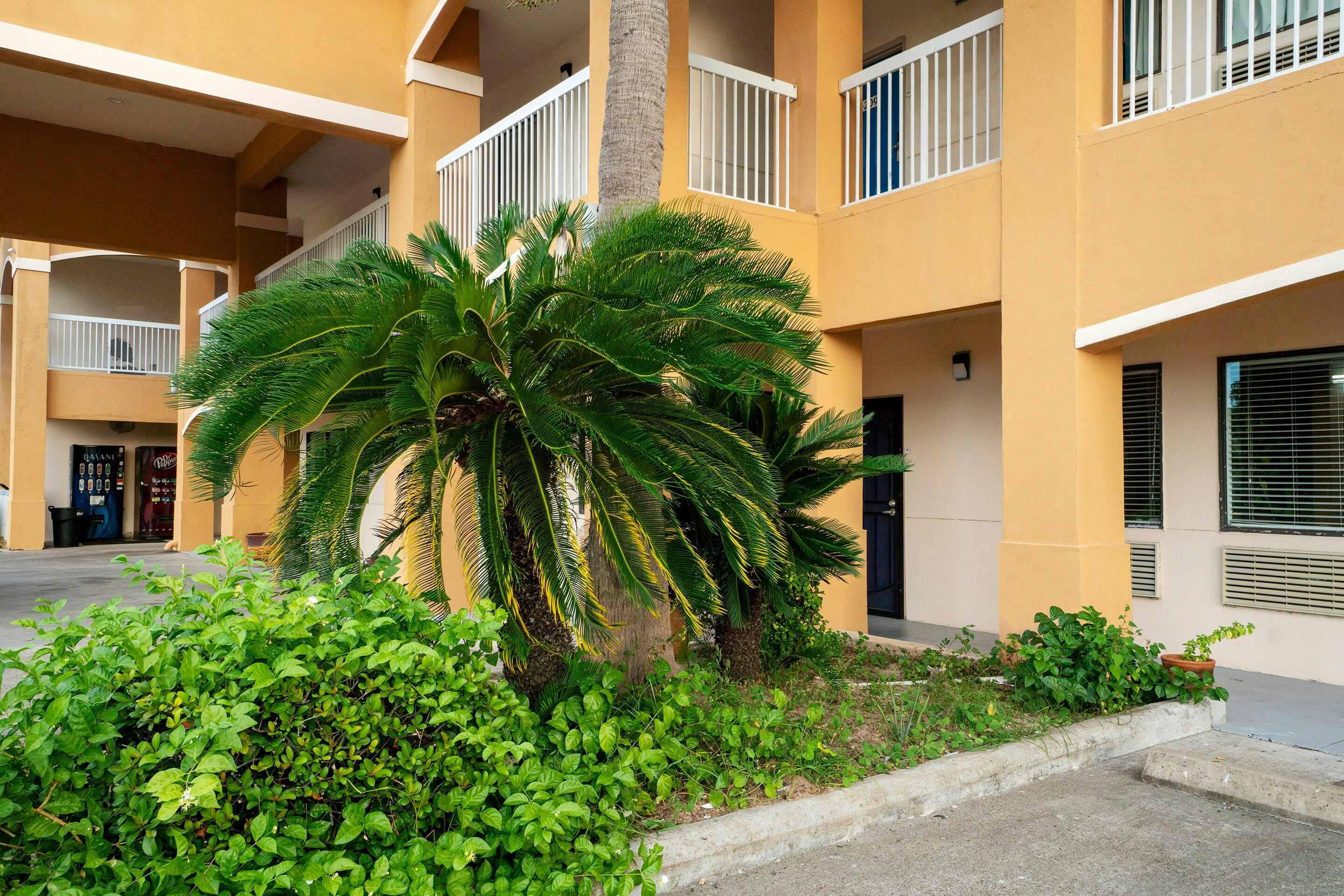 Island Inn By OYO Galveston Beach, TX 40/45