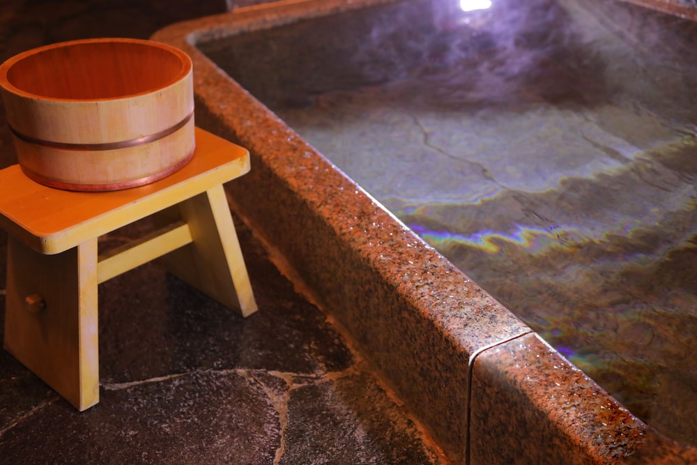Ryokan Dougoya 28/50