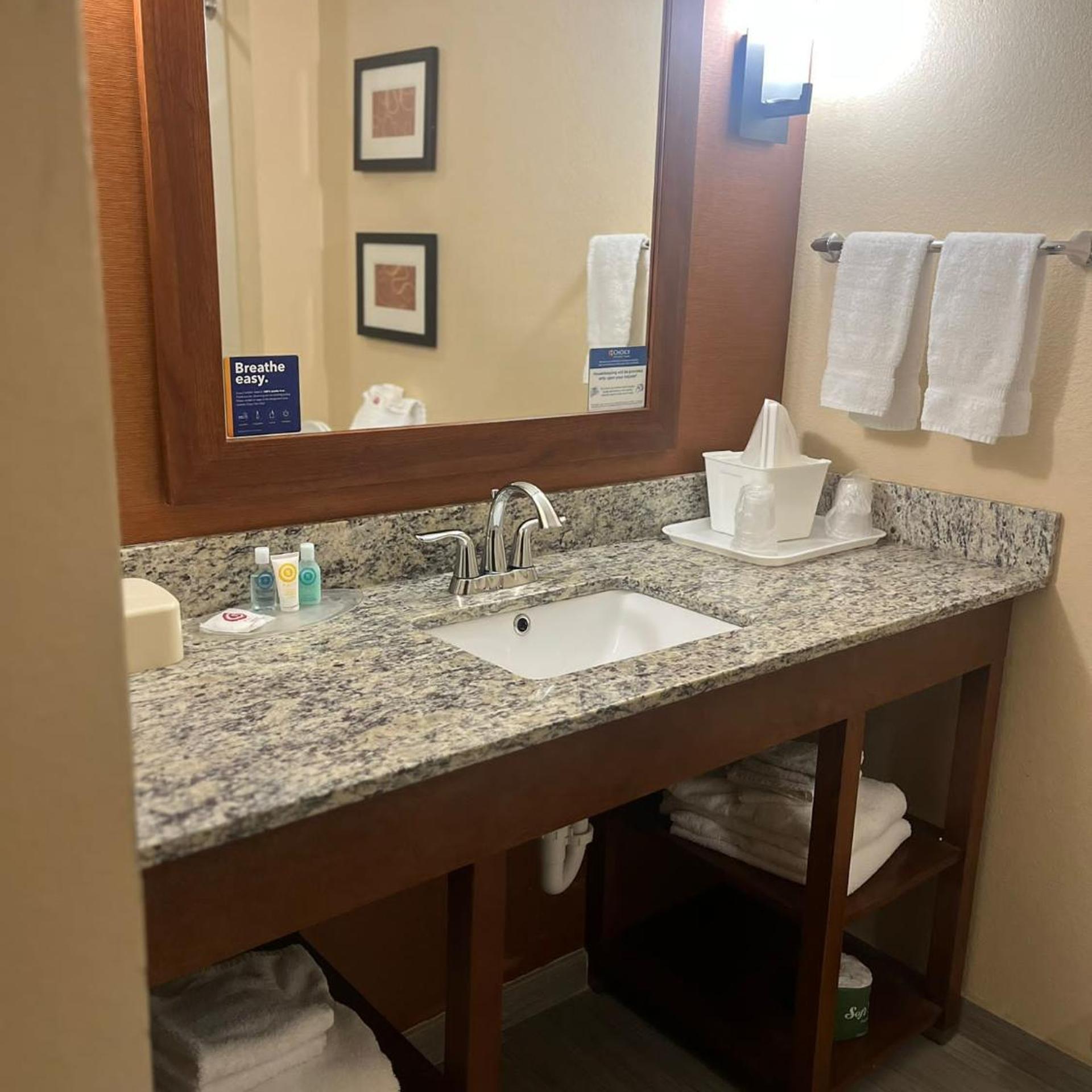 جناح بسرير كوين، Comfort Suites Cotulla Near I-35 3/6