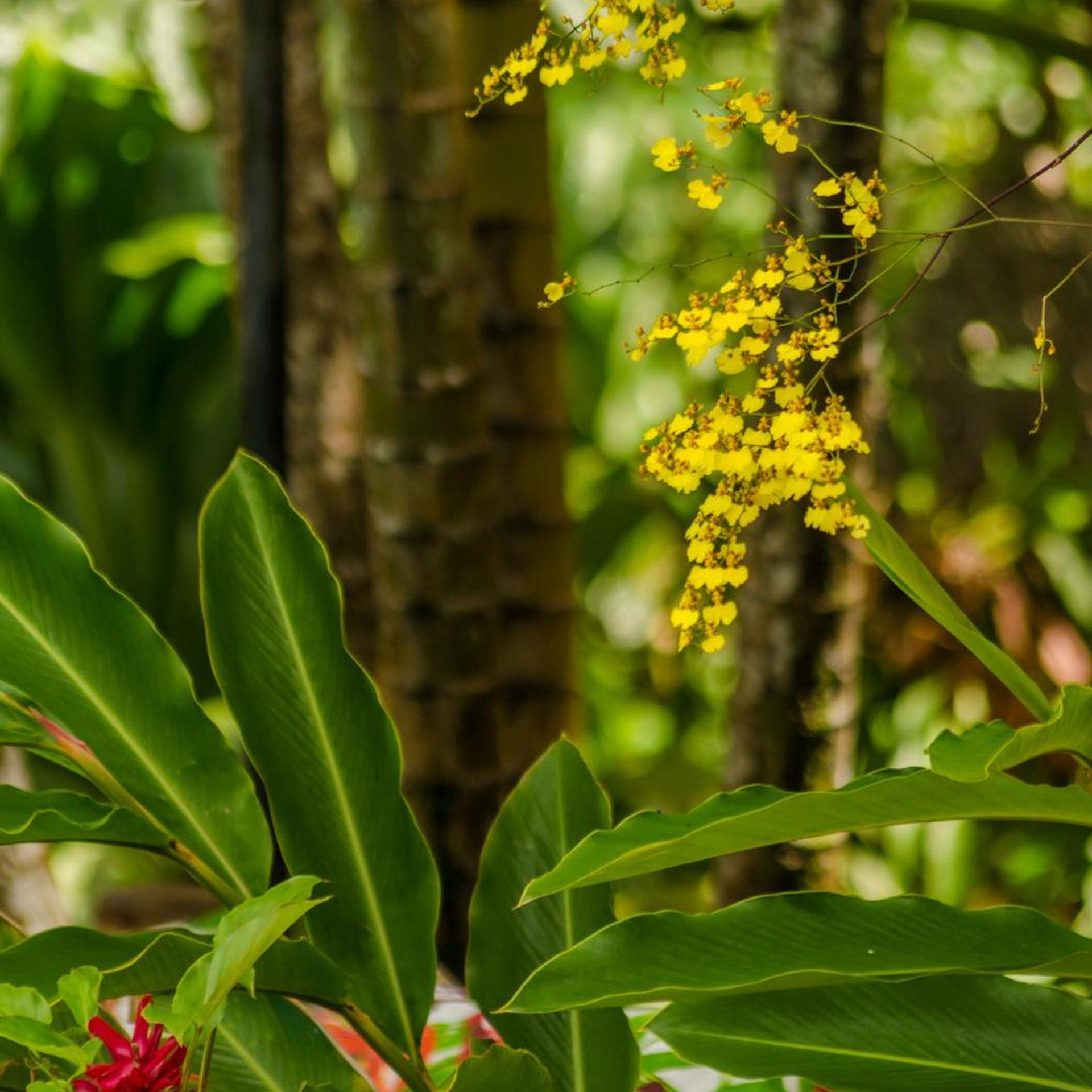 Jardim de Trancoso Pousada 23/50