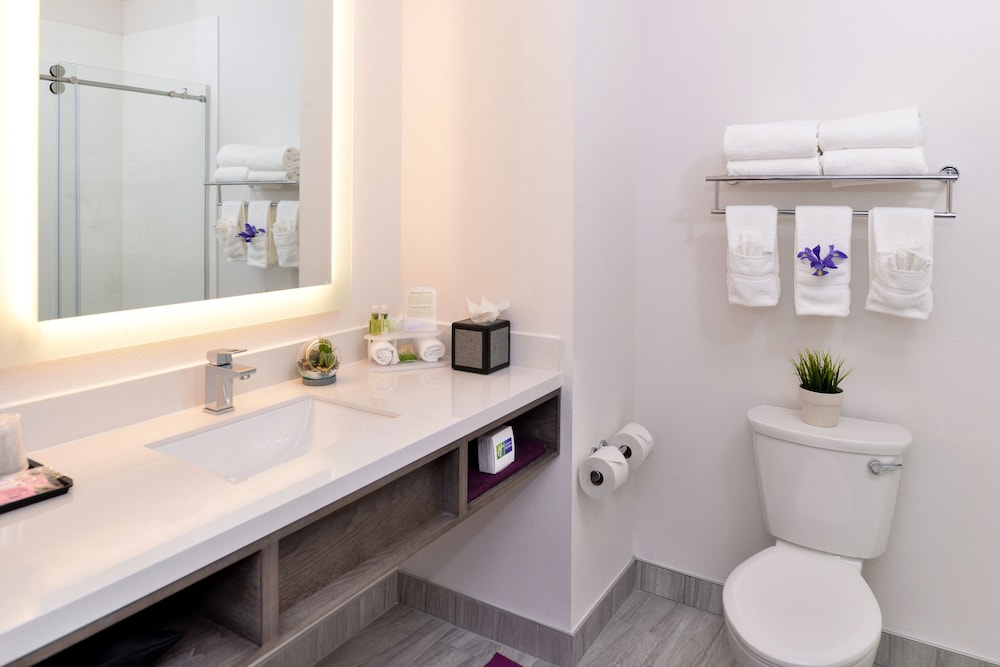 Holiday Inn Express & Suites San Diego - Mission Valley 21/61
