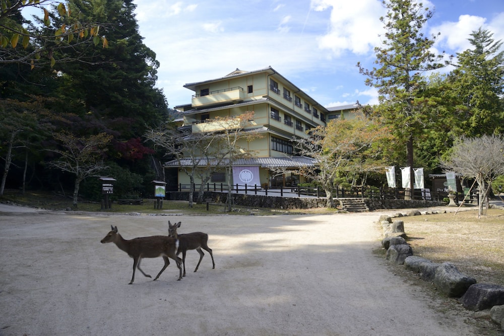 MIYAJIMA MORINOYADO 43/50