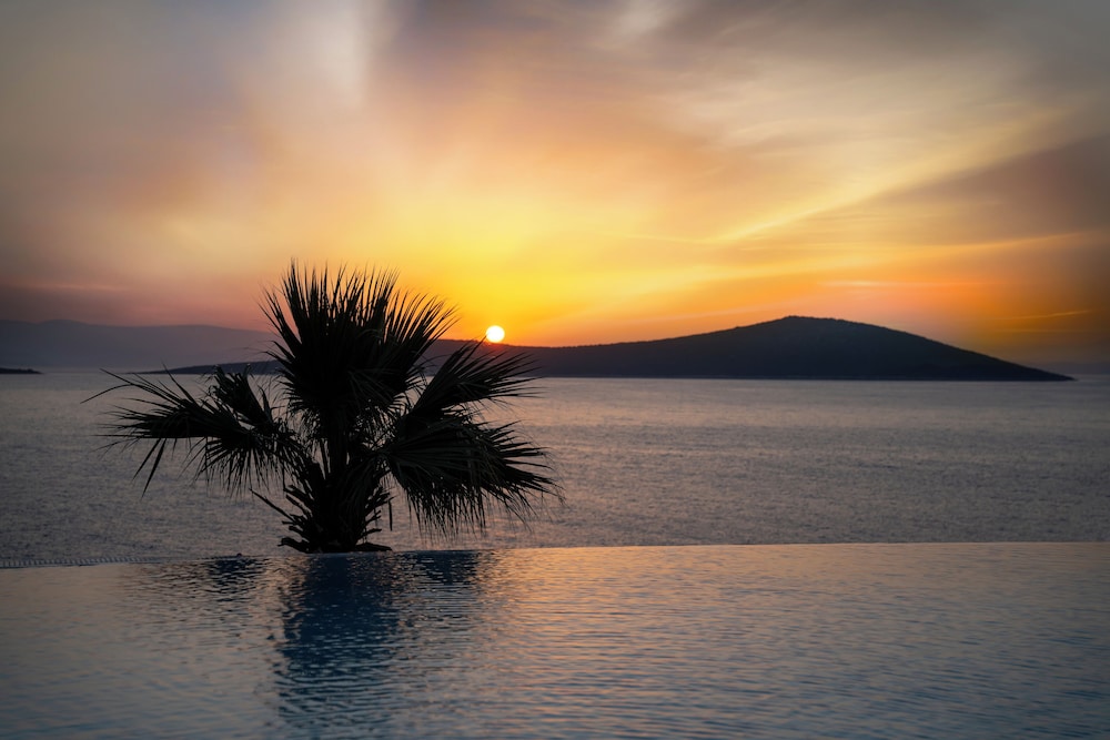 Swissotel Living Bodrum 60/78