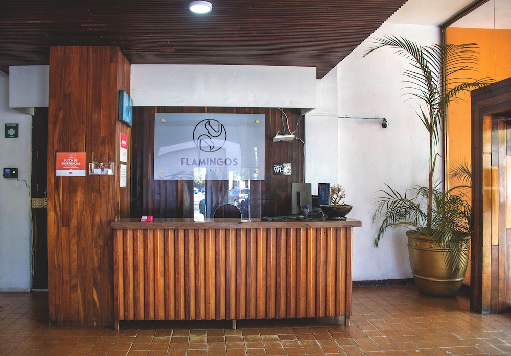 Hotel Flamingos 6/47