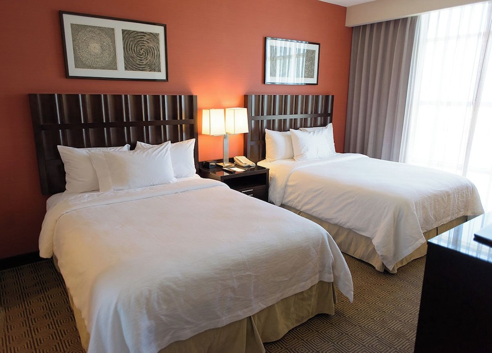 Studio, 2 Queen Beds