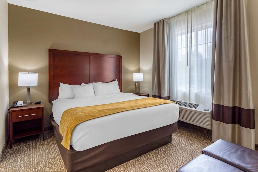 Comfort Suites Clarksville near Governors Square Mall 6/38