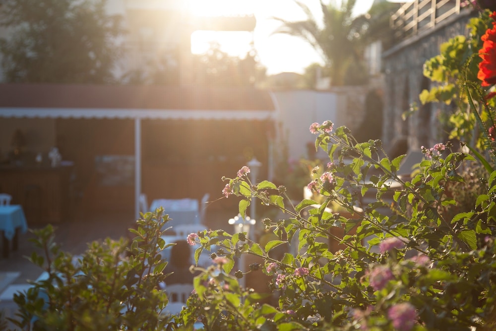 Sunset Villa Hotel 33/50