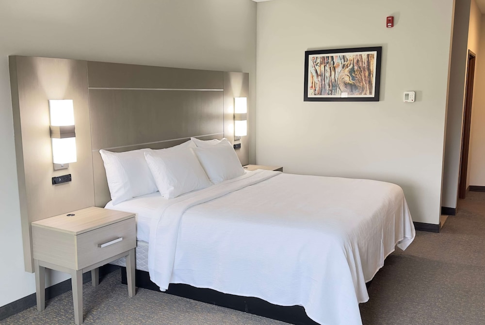 La Quinta Inn & Suites by Wyndham Jackson/Cape Girardeau 13/51