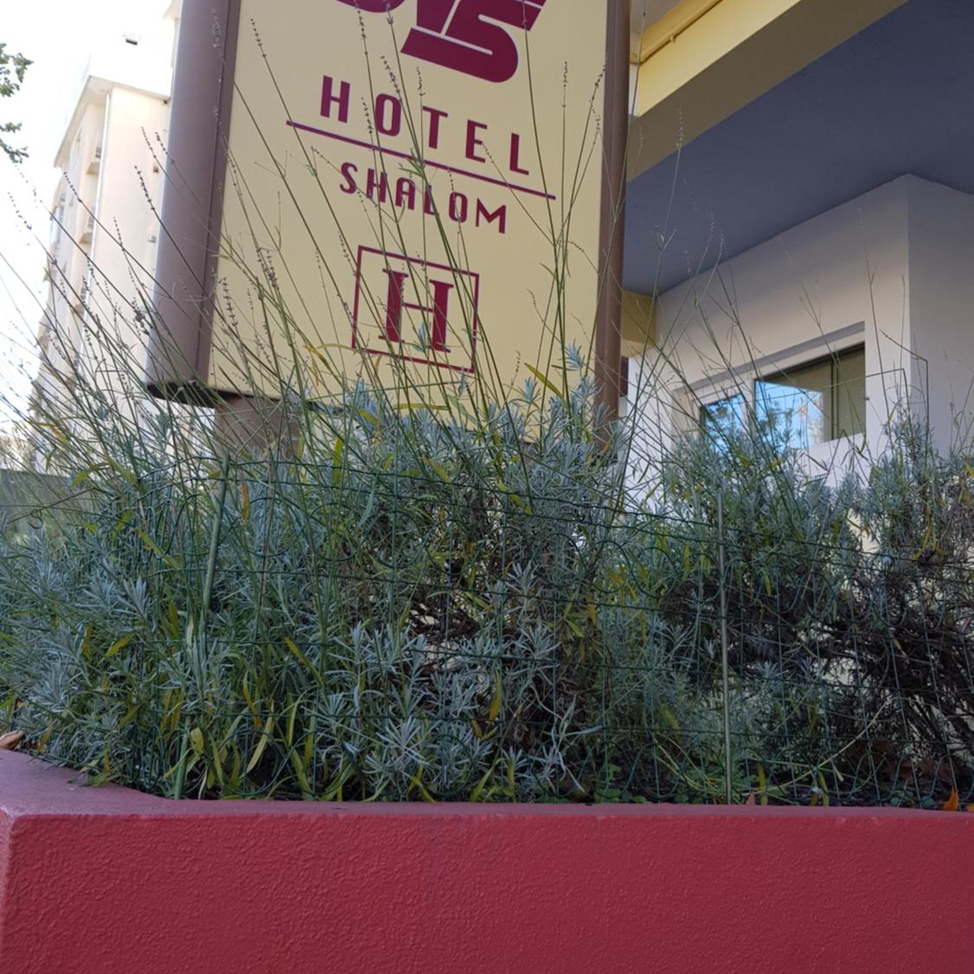 Hotel Nordeste Shalom 1/42
