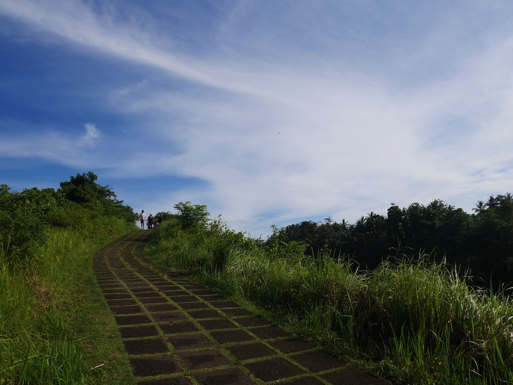 Sari Villa Ubud 15/69