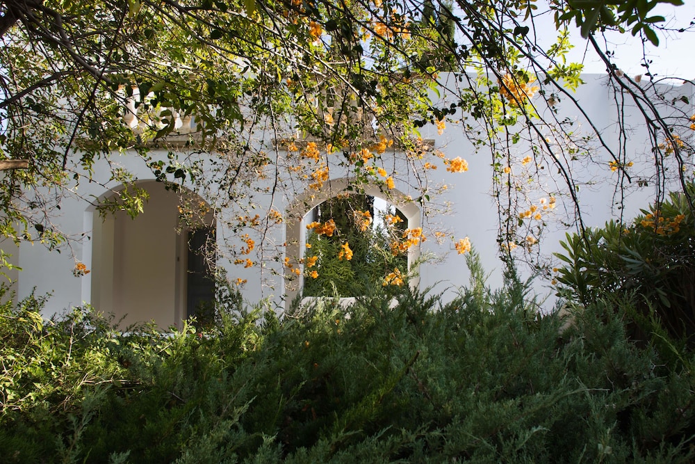 Anassa in Neo Chorio