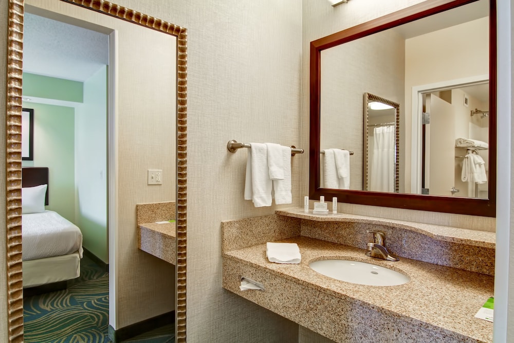 Springhill Suites By Marriott Erie 14/39