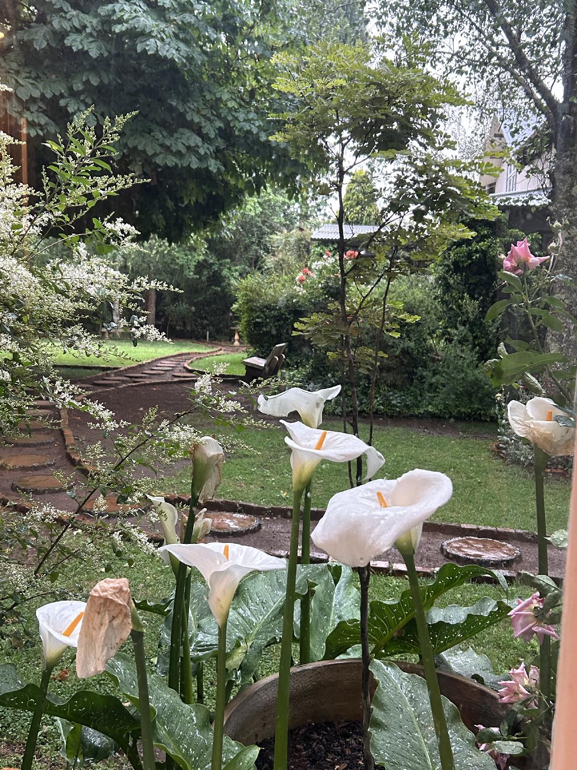 Highland Rose Country House & Serenity Spa 35/42