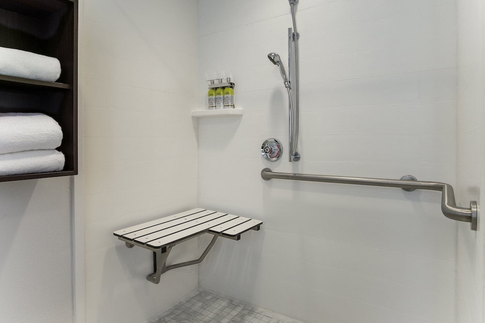 Holiday Inn Express and Suites Orlando - International Drive 32/79