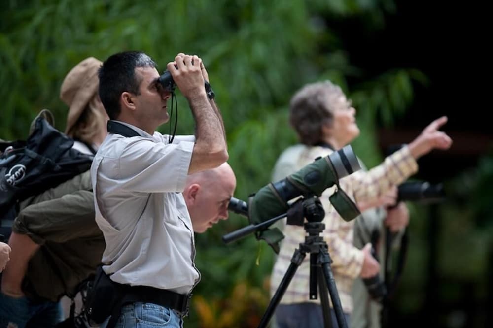 Selva Verde Lodge 25/68
