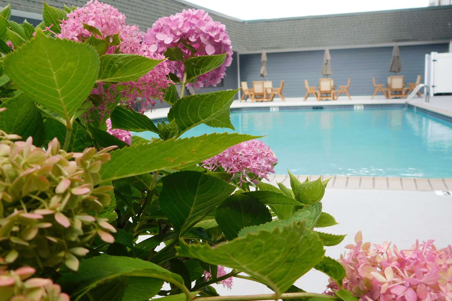 Comfort Inn & Suites Glen Mills - West Chester 24/25