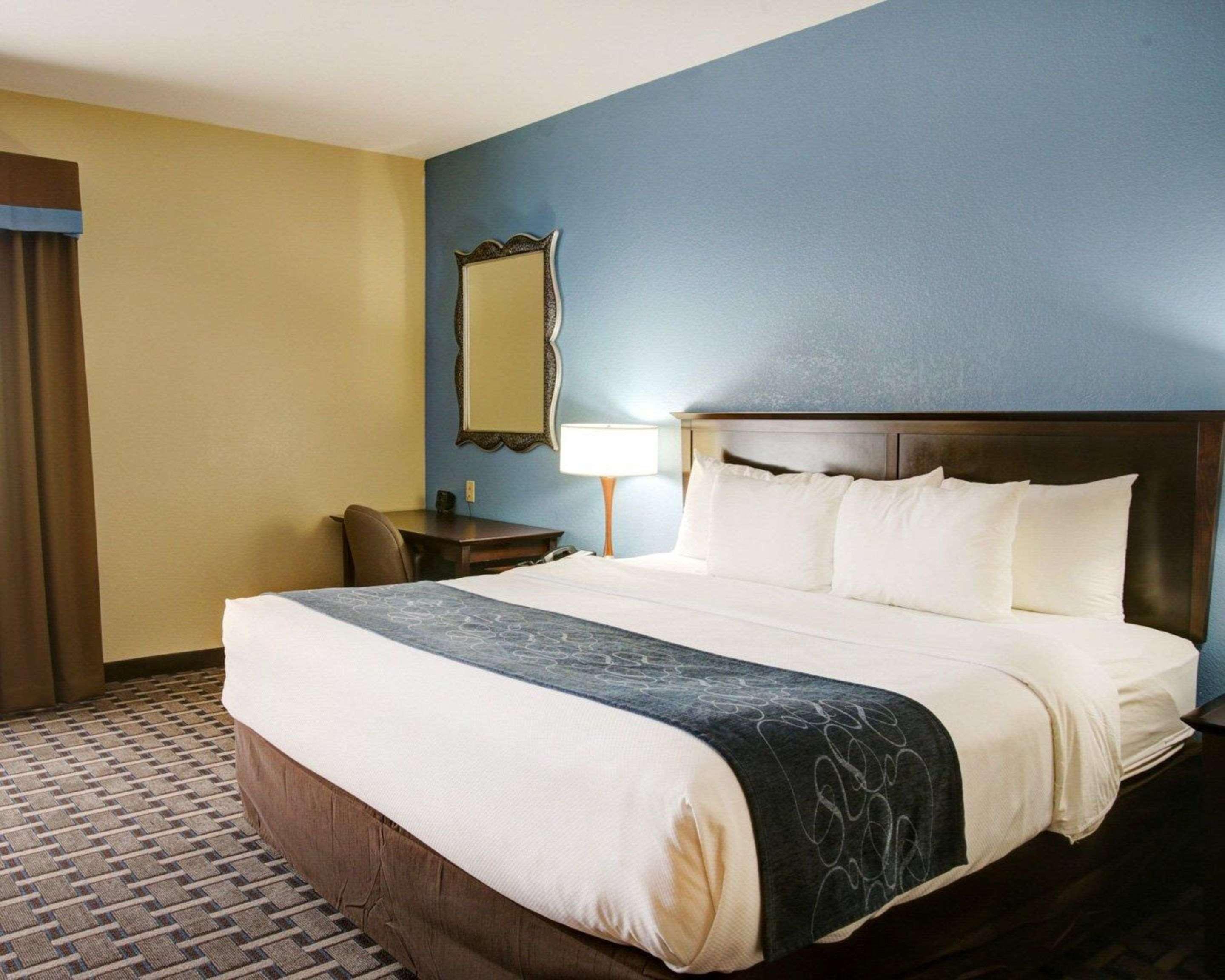 Efficiency, Suite, King Bed