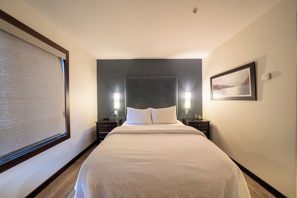 Studio, Queen Bed