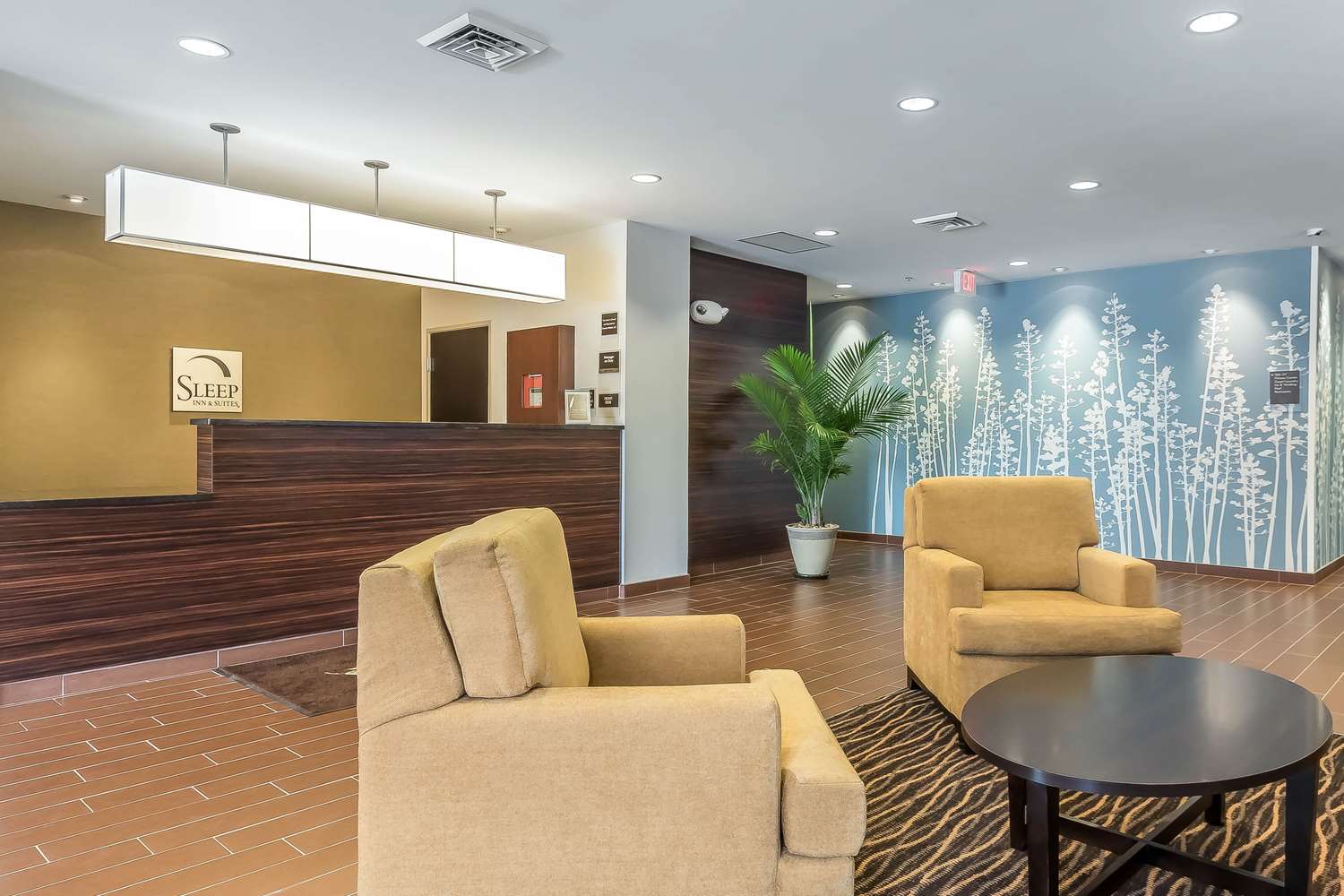 Sleep Inn & Suites O Fallon MO - Technology Drive 5/36