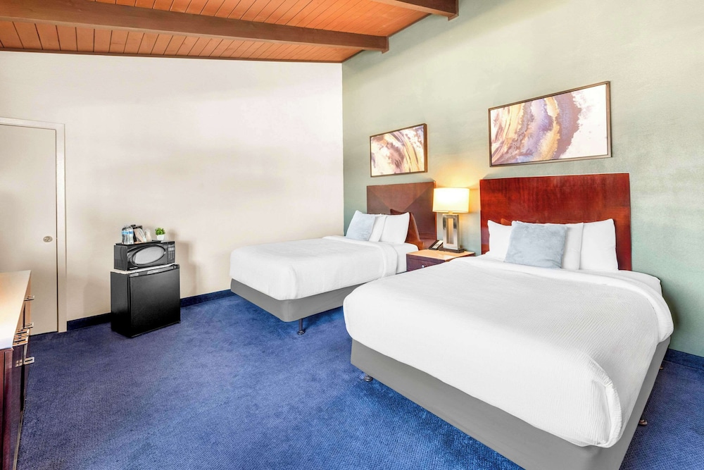 Quality Inn and Suites Jackson CA 19/45