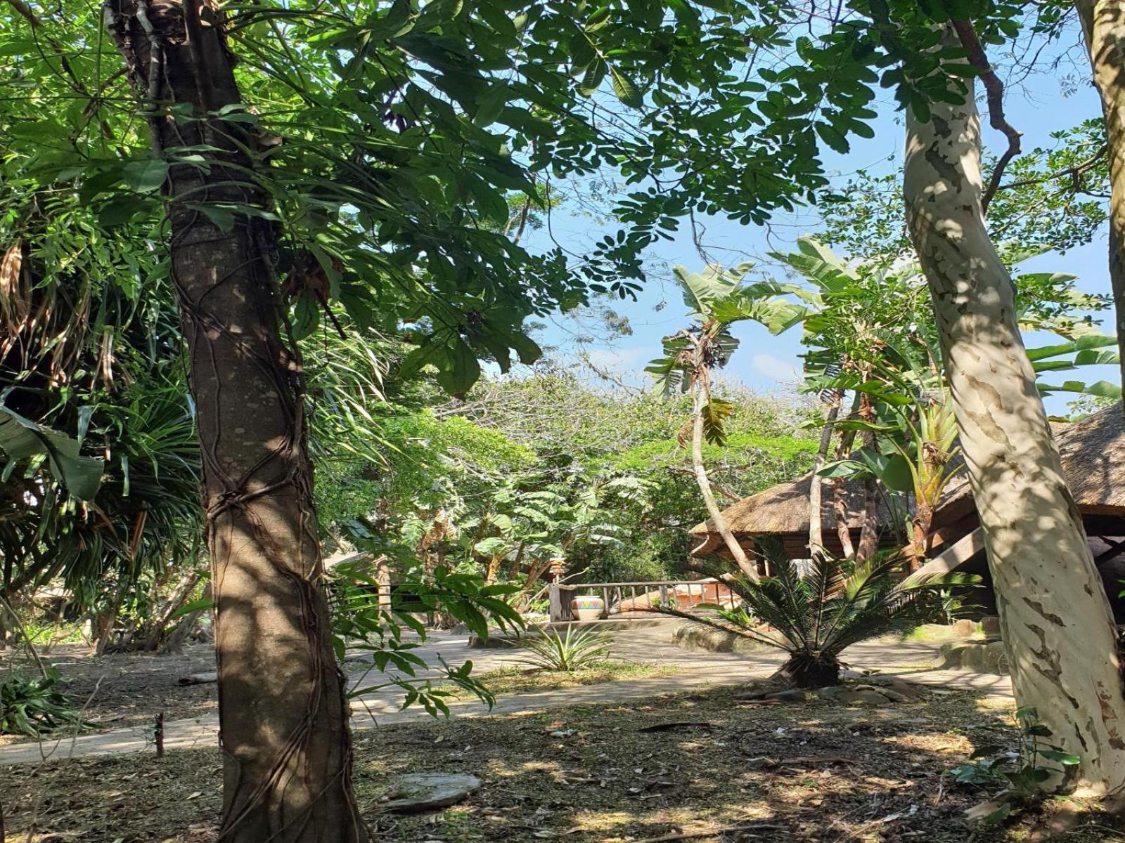 Pumusa Bushcamp 30/48