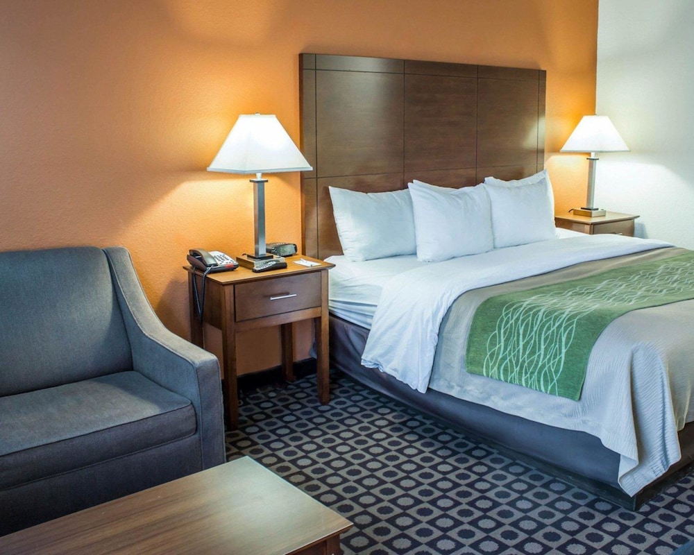 Comfort Inn Fayetteville I-95 19/33