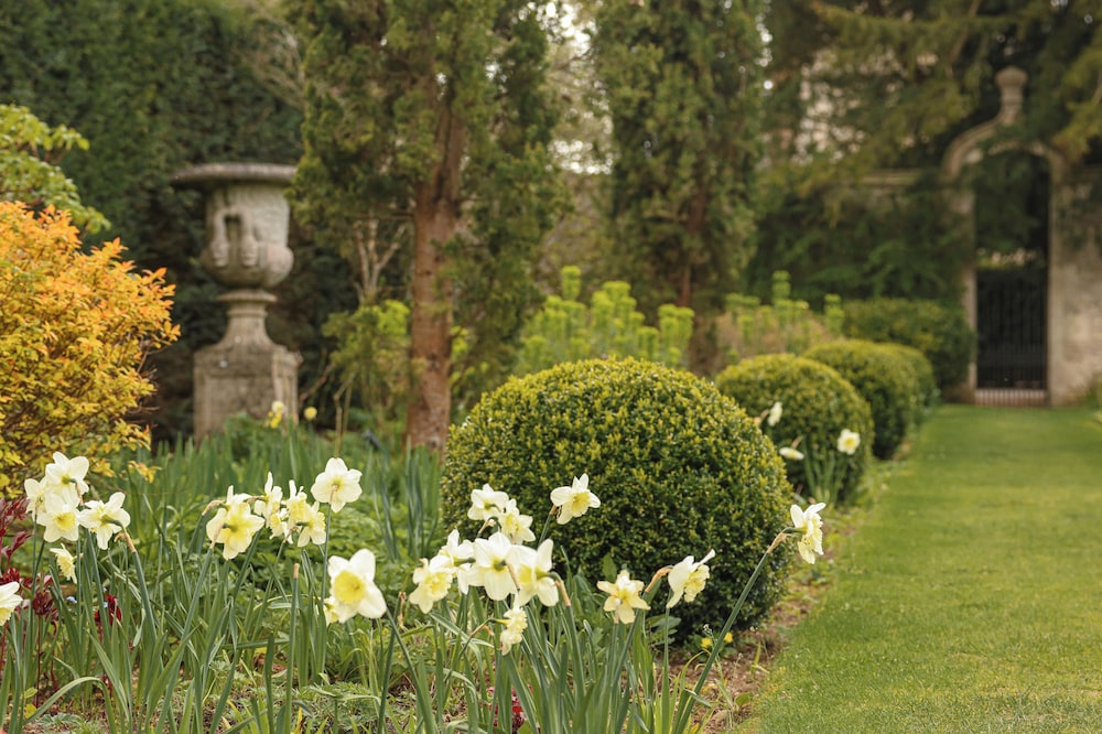 Lucknam Park, Emblems Collection 44/48