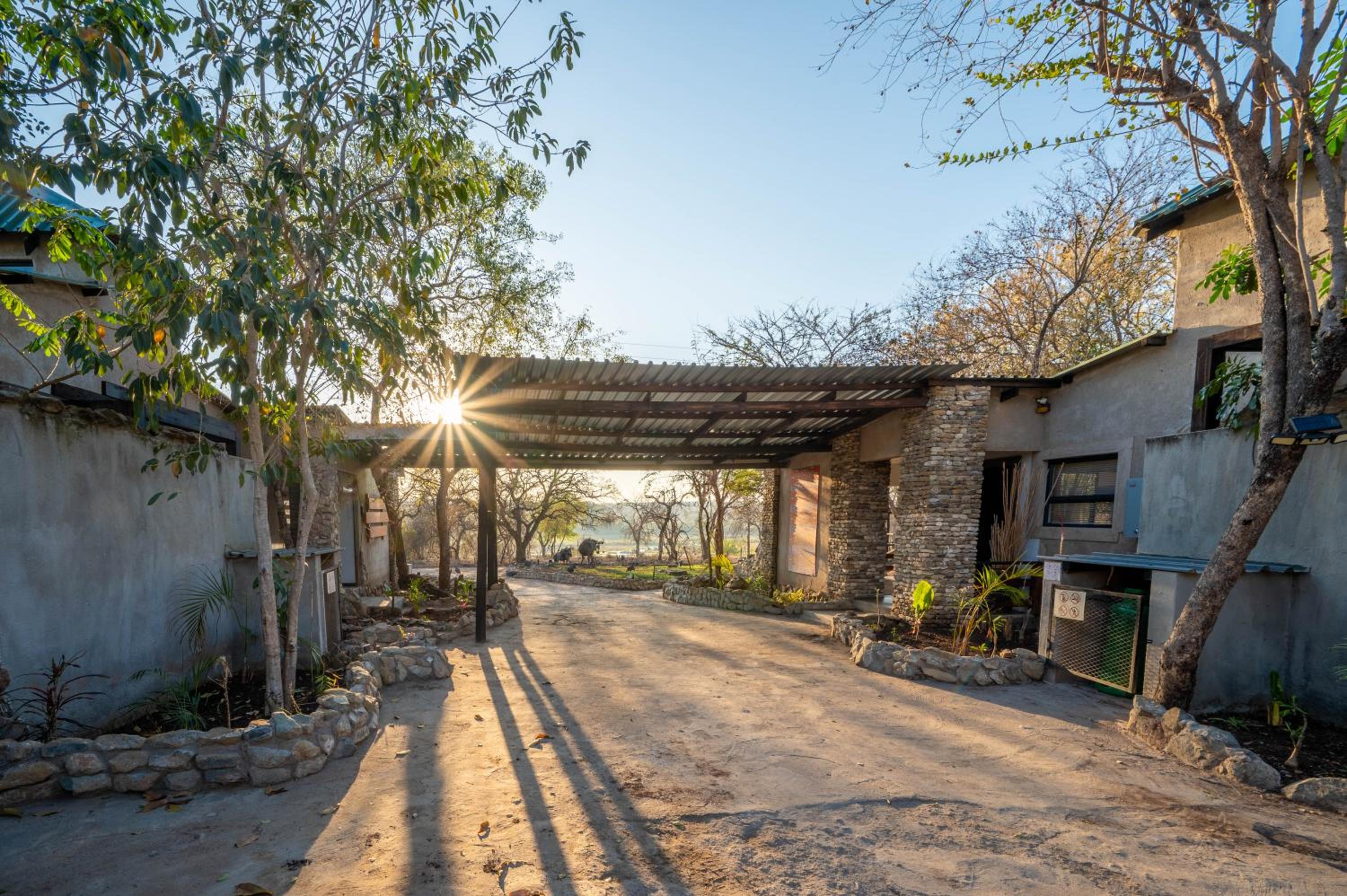 Foxy Crocodile Bush Retreat & Kruger Safaris 40/43