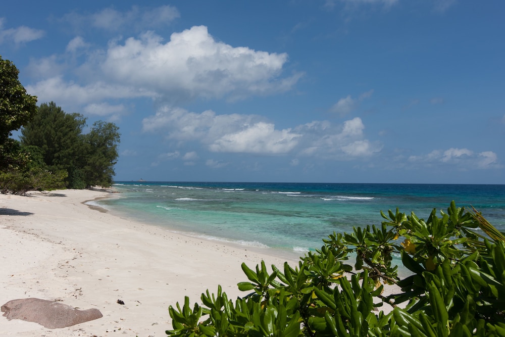 Le Relax Luxury Lodge 56/61