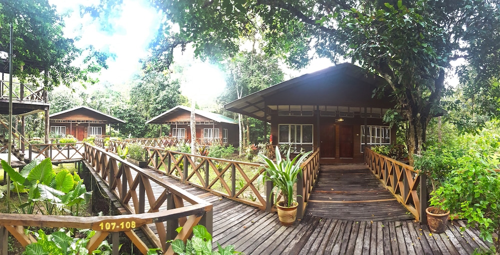 Borneo Nature Lodge 3/18