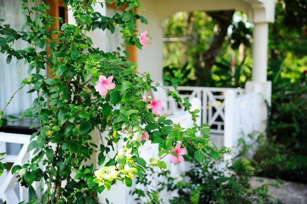 Coral Seas Beach Resort 17/58