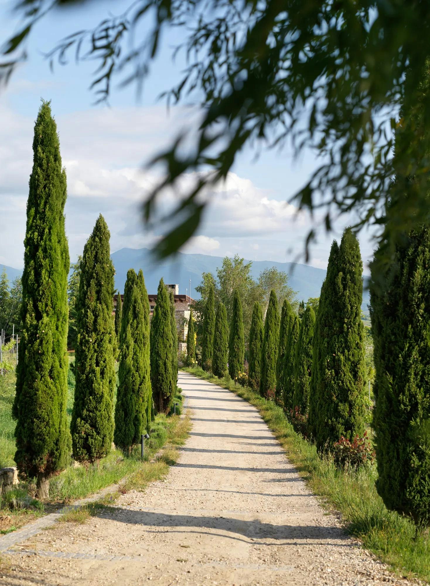 Zornitza Family Estate Relais & Chateaux 39/48
