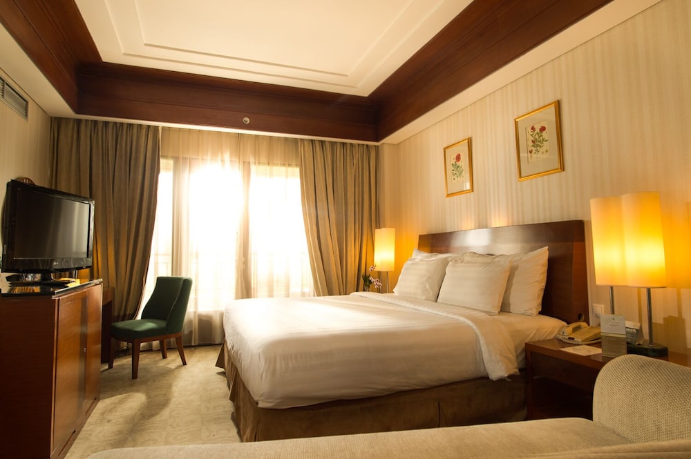 Labersa Grand Hotel And Convention Center 26/48