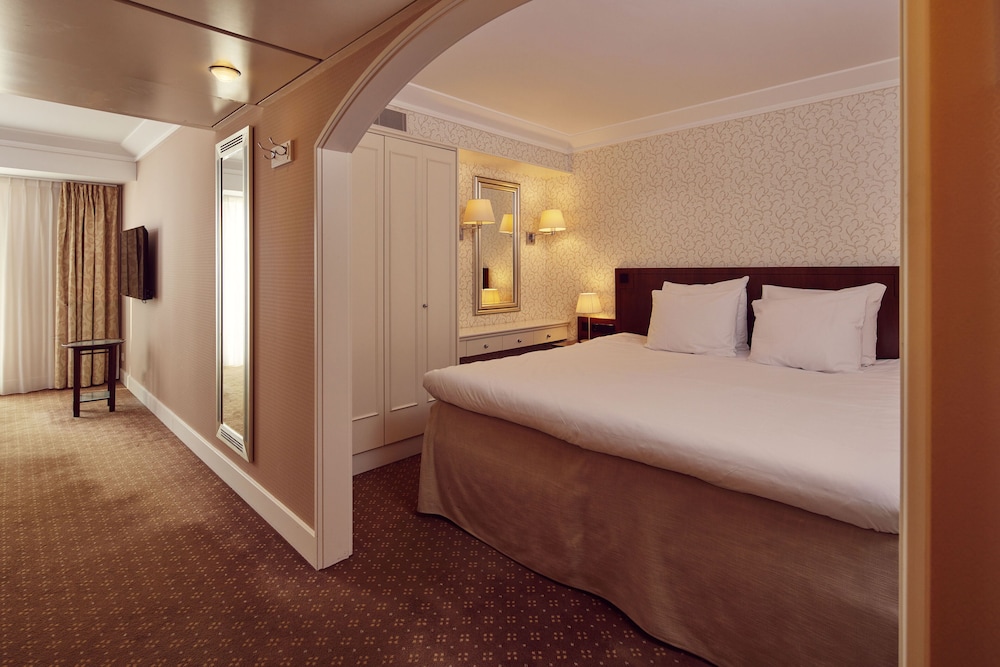 Radisson Blu Palace Hotel 13/64