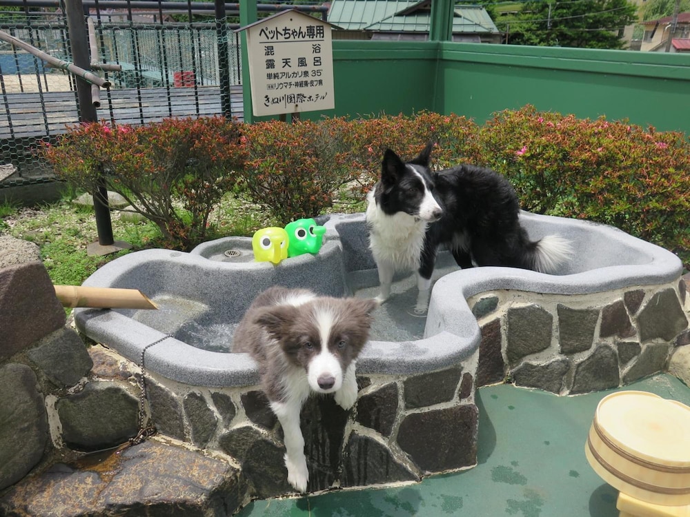 Kinugawa Kokusai Hotel 42/50