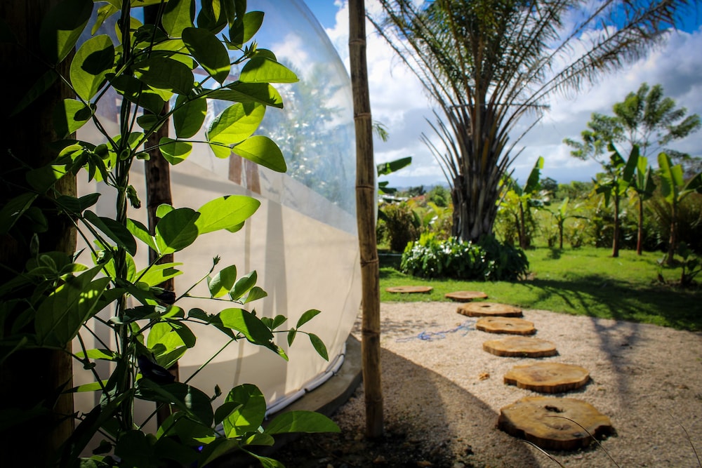Green Land Bubble Glamping 47/60