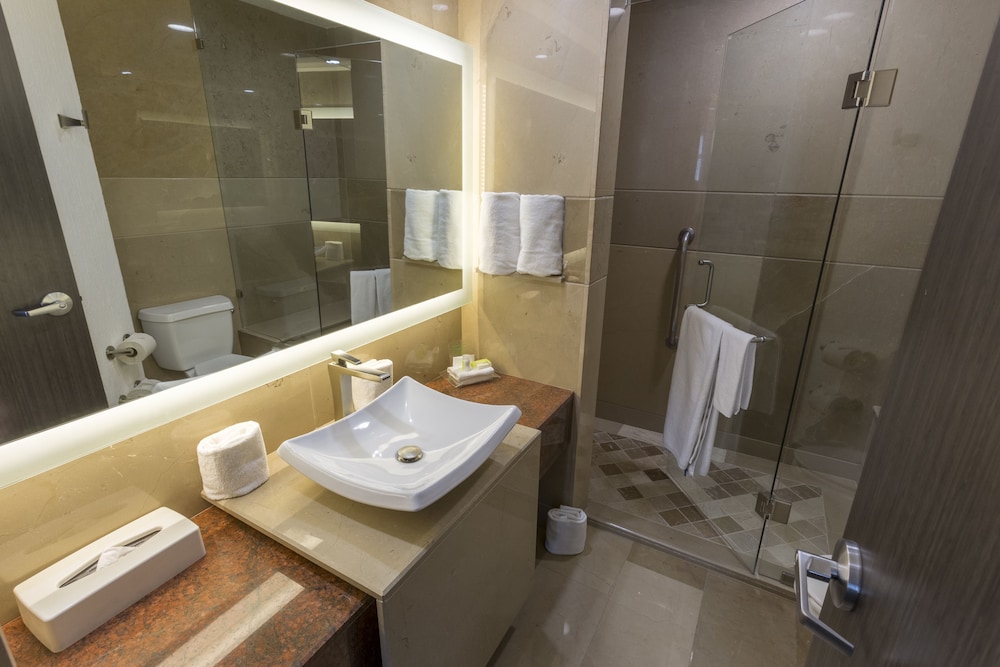 Holiday Inn Queretaro Zona Diamante 49/50