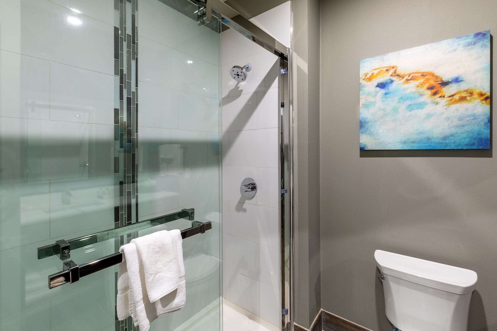 La Quinta Inn & Suites by Wyndham Frisco 38/39
