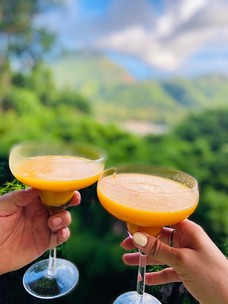 Green Fig Resort and Spa 26/60