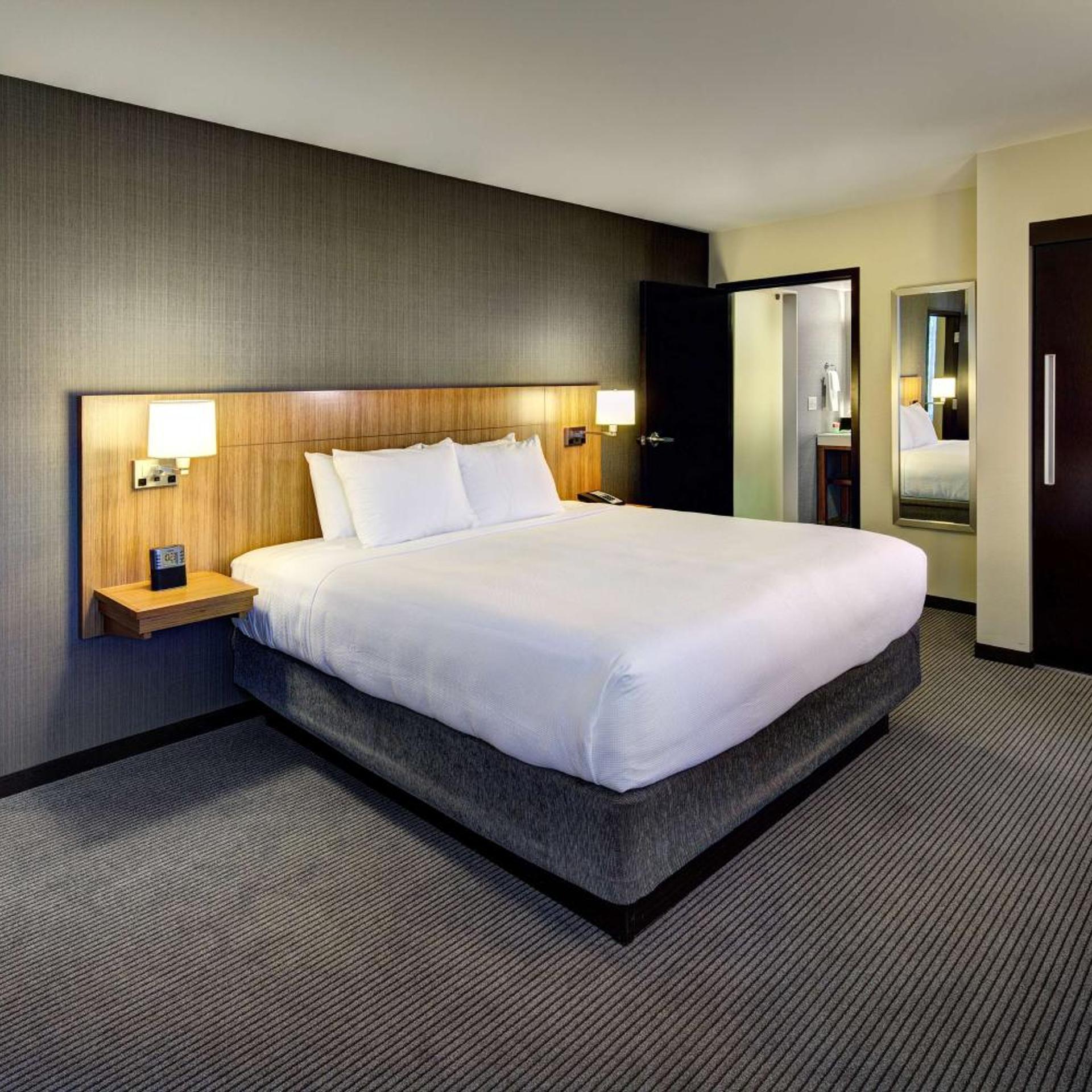 1 Bedroom, Suite, King Bed, Sofa