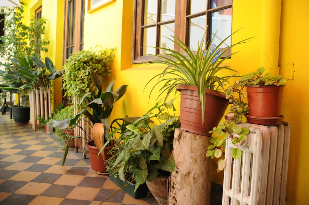 Hostal Rio Amazonas 39/50